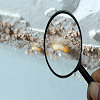Badger State Termite Removal Experts
